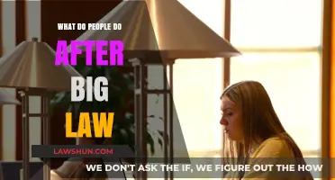 Life After Big Law: Exploring Career Paths and Transitions