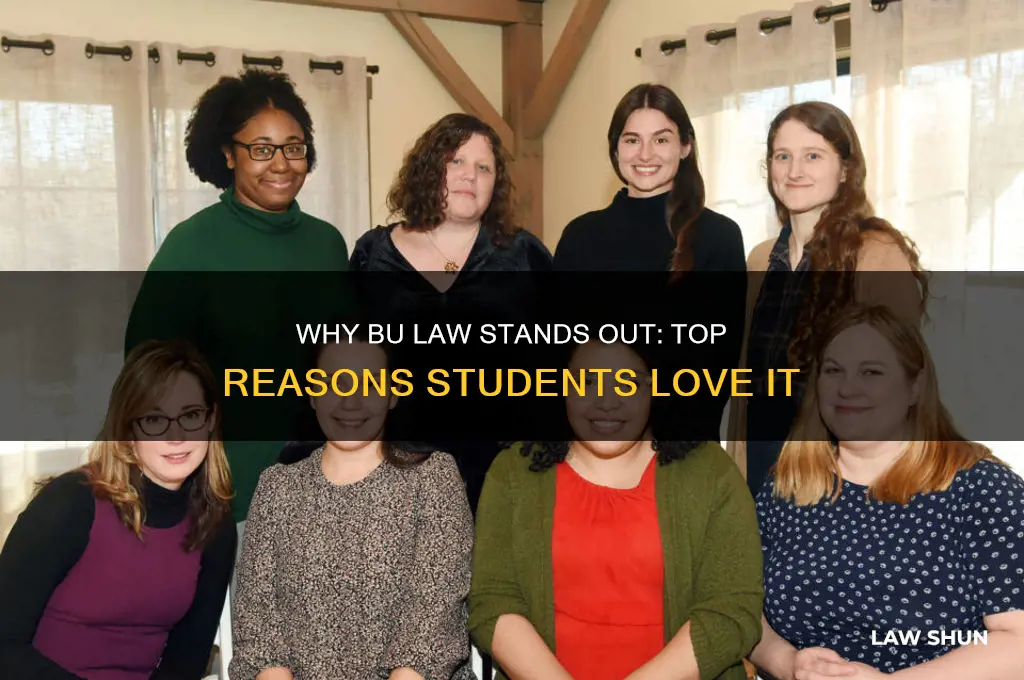 what do people like about bu law