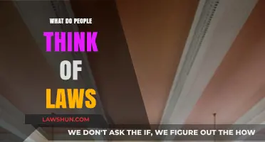 Public Perception of Laws: Opinions, Attitudes, and Societal Impact Explored