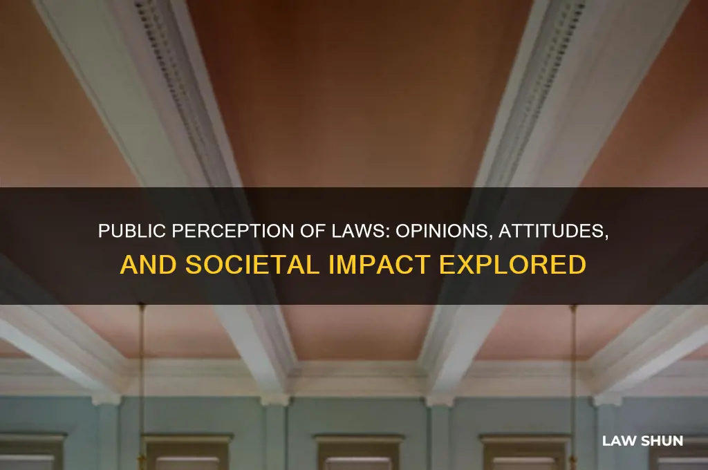 what do people think of laws