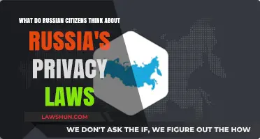Russian Citizens' Perspectives on Russia's Privacy Laws: Insights and Opinions
