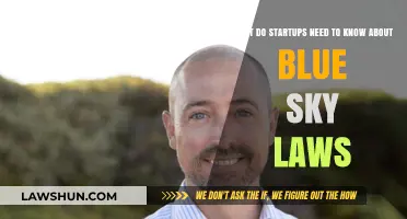 Navigating Blue Sky Laws: Essential Insights for Startups Raising Capital