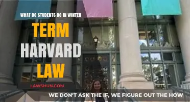 Harvard Law Winter Term: Student Activities and Academic Focus Explained