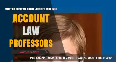 How Supreme Court Justices Consider Law Professors' Expertise in Decisions