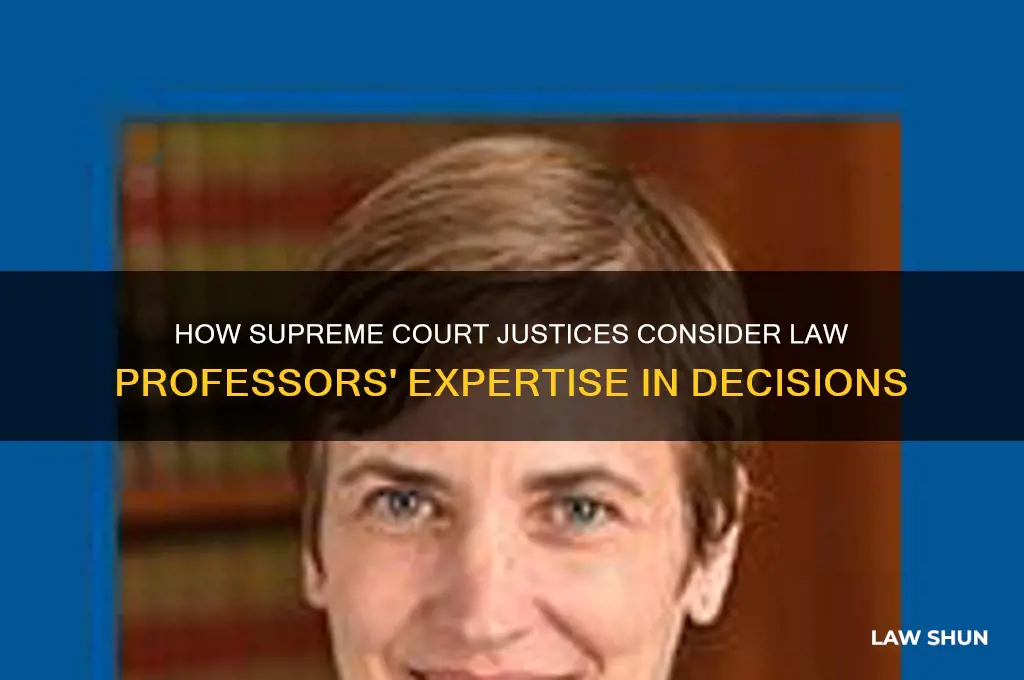 what do supreme court justices take into account law professors
