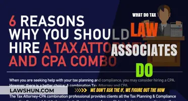 Exploring the Role of Tax Law Associates
