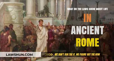 Ancient Rome's Legal Insights: Unveiling Daily Life Through Laws