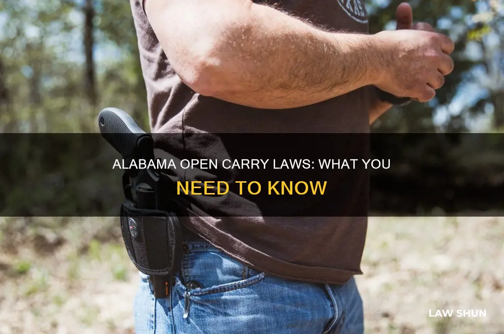 what do u need to open carry alabama laws