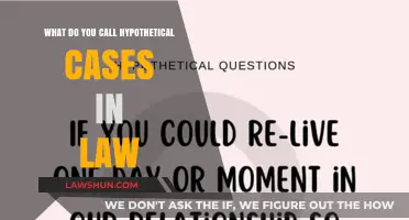 Hypothetical Law Scenarios: What's in a Name?
