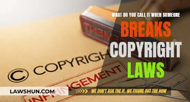 Piracy and Copyright Infringement: Understanding the Illegality