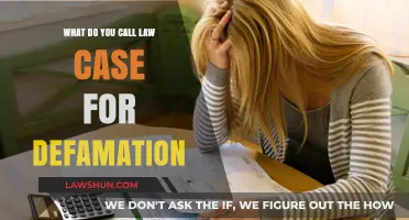 Defamation Lawsuits: Understanding the Legal Process