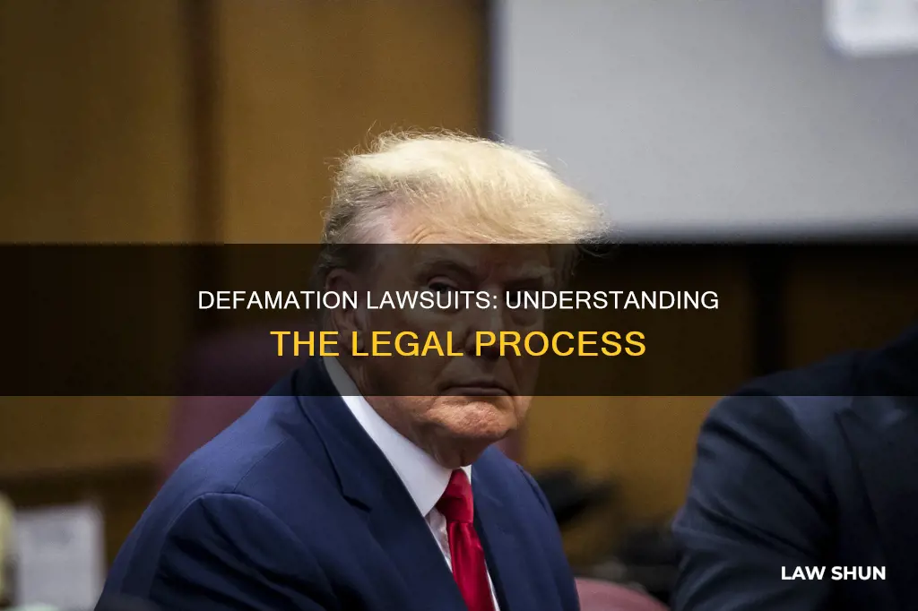 what do you call law case for defamation