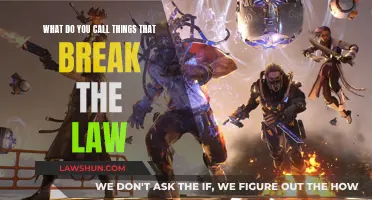 The Lawless: What to Call Lawbreakers?