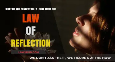 Understanding Reflection: Key Conceptual Lessons from the Law of Reflection