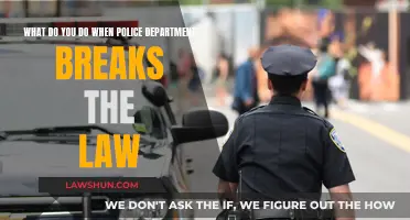 Police Accountability: What to Do When They Break the Law