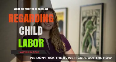 Fair Child Labor Laws: Balancing Protection, Education, and Opportunity