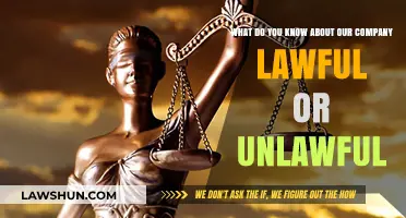 Understanding Our Company's Legal Standing: Lawful or Unlawful Practices Explored