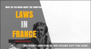 Sumptuary Laws in France: Unraveling the History of Fashion Restrictions