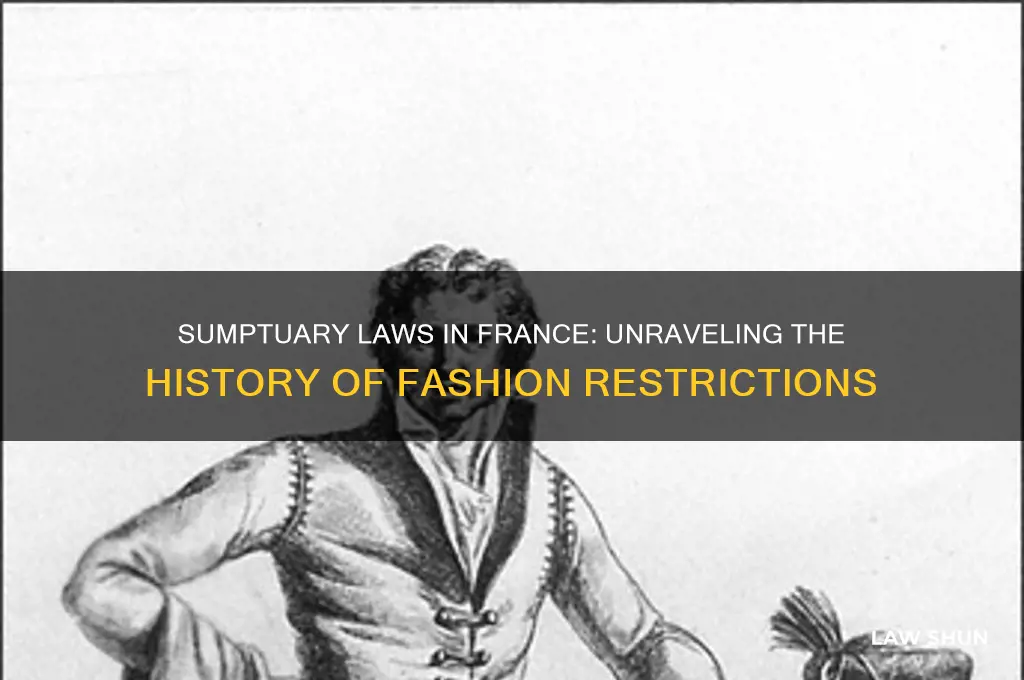 what do you know about the sumptuary laws in france