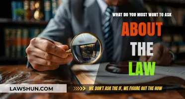 Unraveling Legal Mysteries: Your Burning Questions About the Law Answered