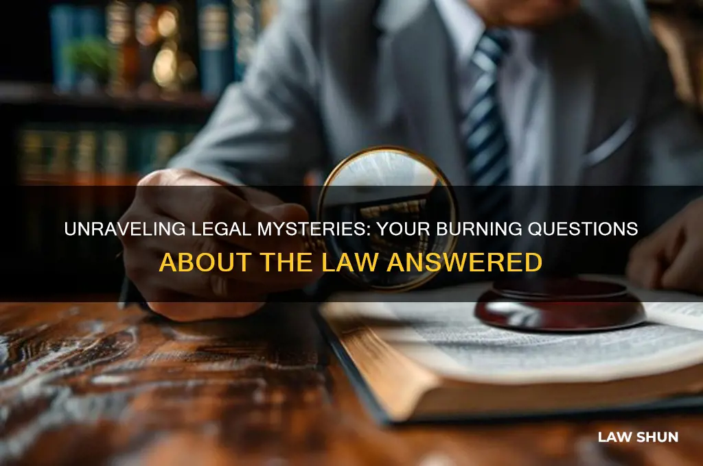 what do you most want to ask about the law