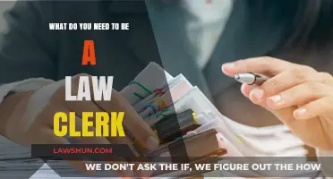 Essential Skills and Qualifications to Become a Successful Law Clerk