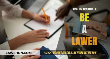 Essential Skills and Qualifications to Become a Successful Lawyer