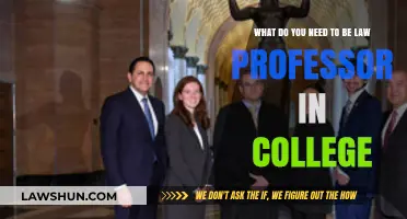 Qualifications and Skills Required to Become a Law Professor