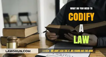Essential Steps to Codify a Law: A Comprehensive Guide