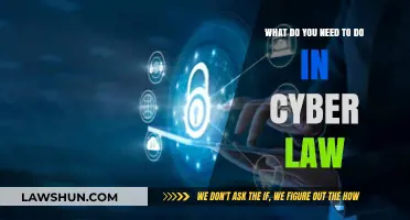 Essential Steps to Navigate and Comply with Cyber Law Requirements