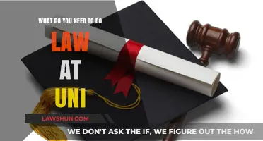 Essential Steps to Pursue a Law Degree at University