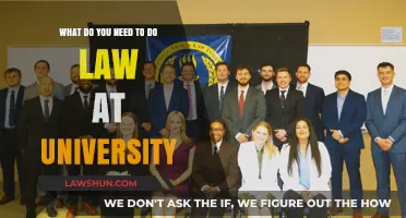Pursuing Law at University: Essential Steps and Requirements to Succeed
