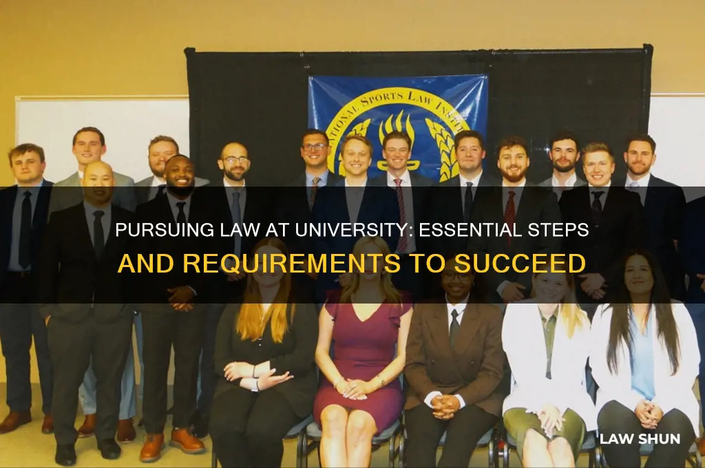 what do you need to do law at university