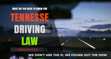 Tennessee Driving Laws: Essential Rules and Regulations You Must Know