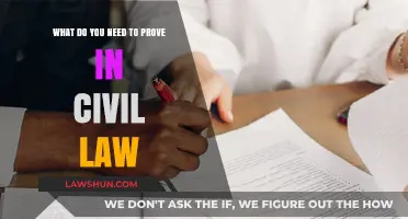Proving Your Case: Essential Elements in Civil Law Claims