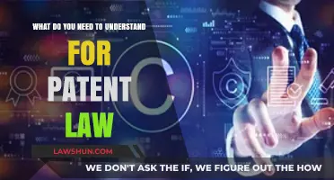 Understanding Patent Law: Key Concepts and Requirements Explained