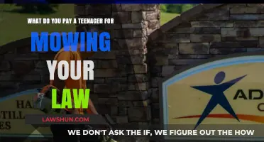 Fair Teen Lawn Mowing Rates: What Should You Pay?