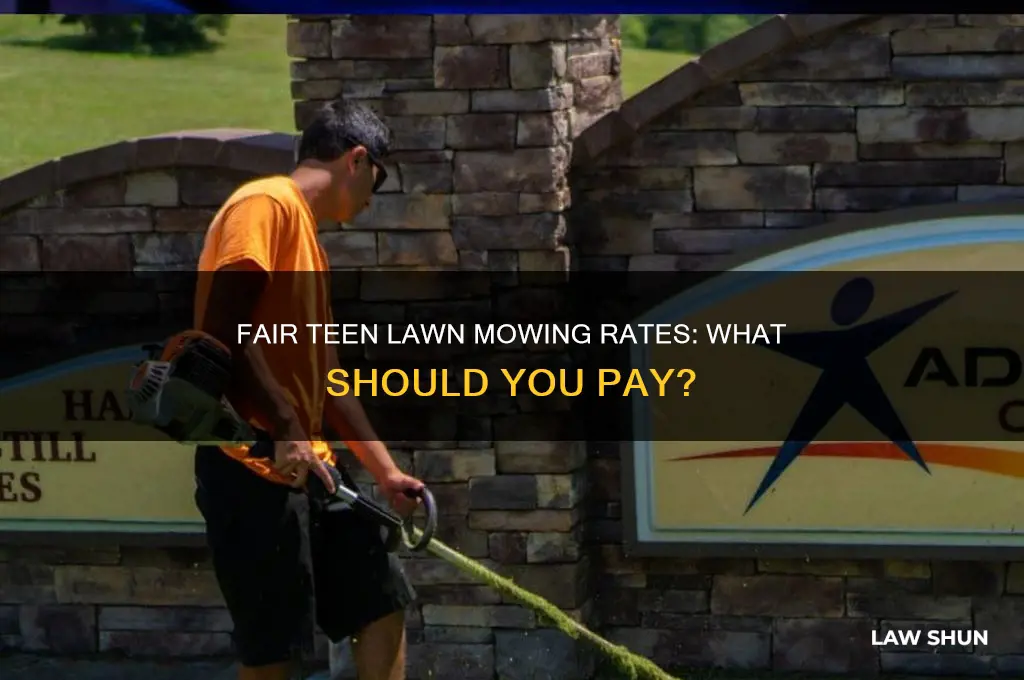 what do you pay a teenager for mowing your law