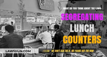 Segregated Lunch Counters: Reflecting on the Impact of Divisive Laws
