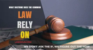 The Evolution of Common Law: Doctrinal Foundations