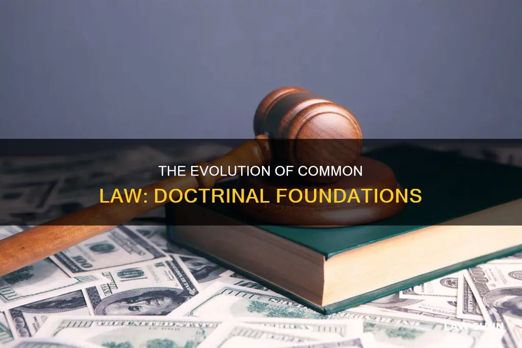 what doctrine does the common law rely on