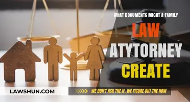 Documents Your Family Law Attorney Can Draft for You