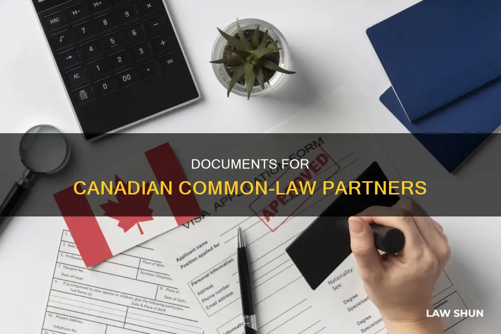 what documents required for common-law partner in canada