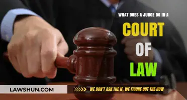 Understanding the Role of a Judge in Court Proceedings