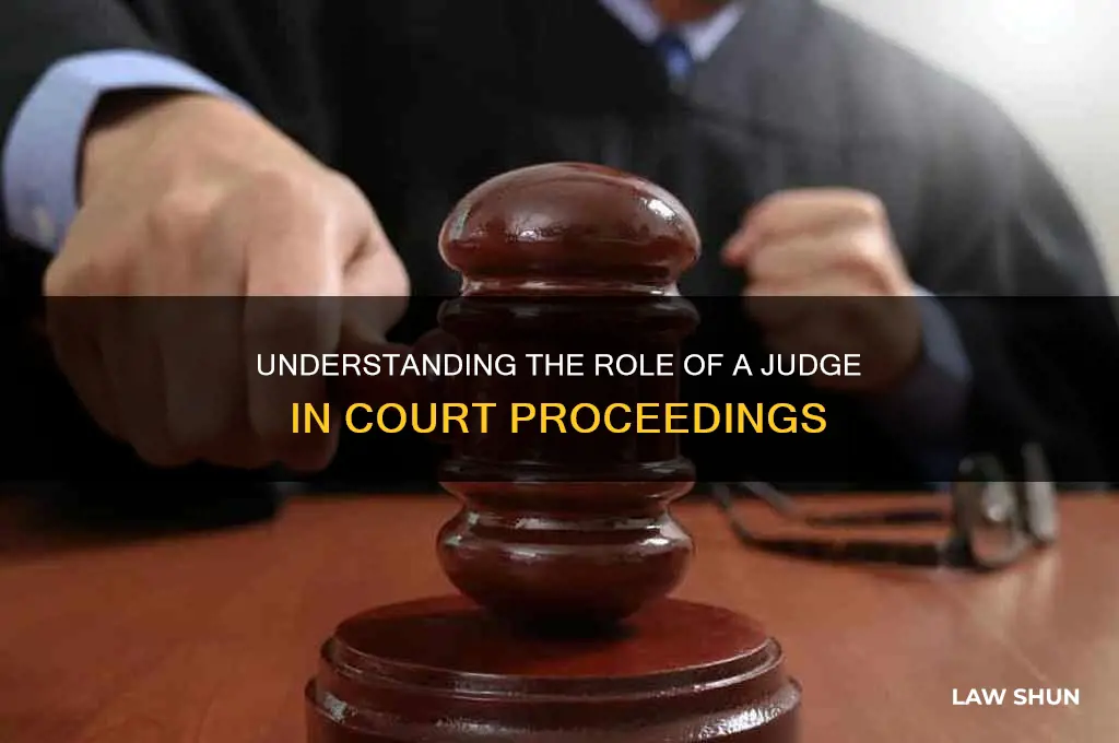 Understanding The Role Of A Judge In Court Proceedings | LawShun