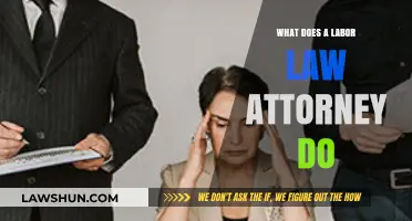 Understanding the Role of a Labor Law Attorney in Workplace Disputes