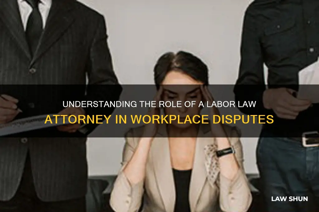what does a labor law attorney do