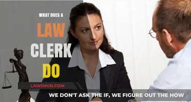 Exploring the Role of a Law Clerk: Duties and Responsibilities