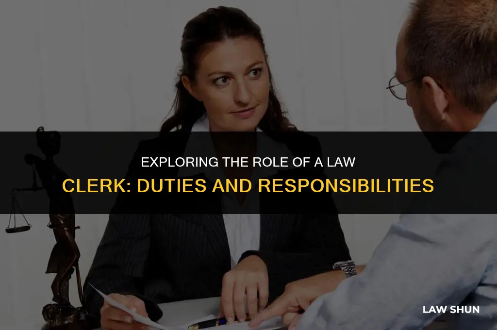 what does a law clerk do