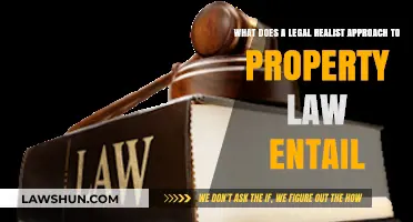 Legal Realism in Property Law: Understanding Its Practical Implications